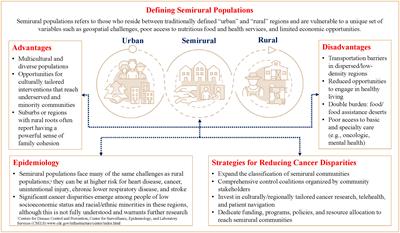 A cancer care desert: living in between the urban and rural and the case for defining semirural regions